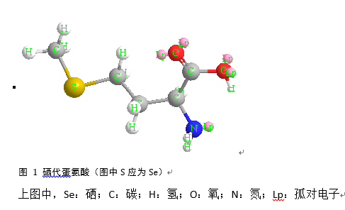 硒的生物學(xué)特性及抗衰老機理