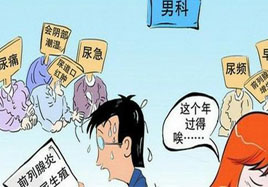 前列腺疾病 男人的痛 不如補補它