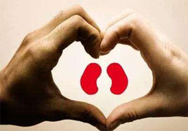 男人腎臟不好，從養(yǎng)腎開始吧!