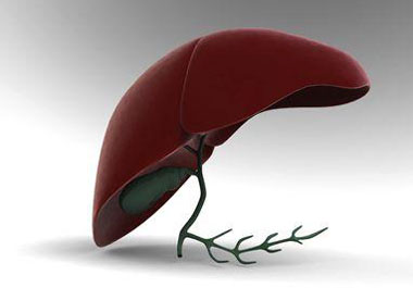 肝臟不好，藏毒多，表現(xiàn)有哪些信號