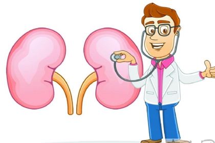 你的腎臟健康嗎？研究表明補硒對腎臟有保護作用