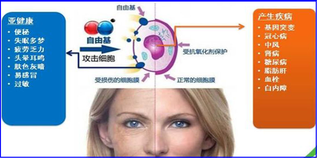 自由基是“百病之源”？硒元素可清除自由基