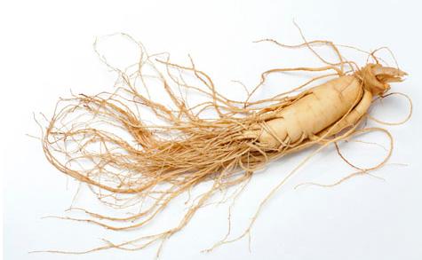 癌癥患者能吃人參皂苷嗎？該如何服用？