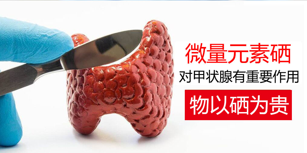 物以“硒”為貴，甲狀腺疾病能適當(dāng)補(bǔ)硒嗎？