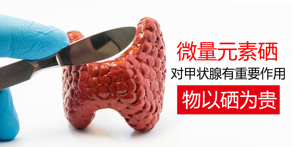 物以“硒”為貴，甲狀腺疾病能適當(dāng)補硒嗎？