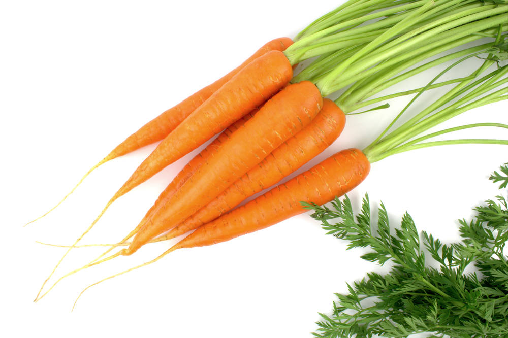 營(yíng)養(yǎng)