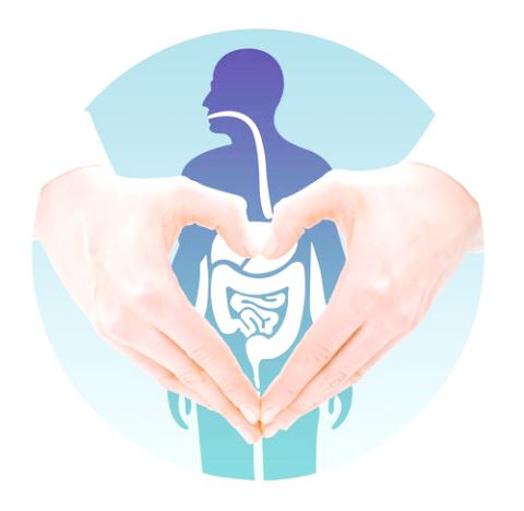 補硒科普：保護胃的前提，你可知道誰是罪魁禍?zhǔn)祝? title=