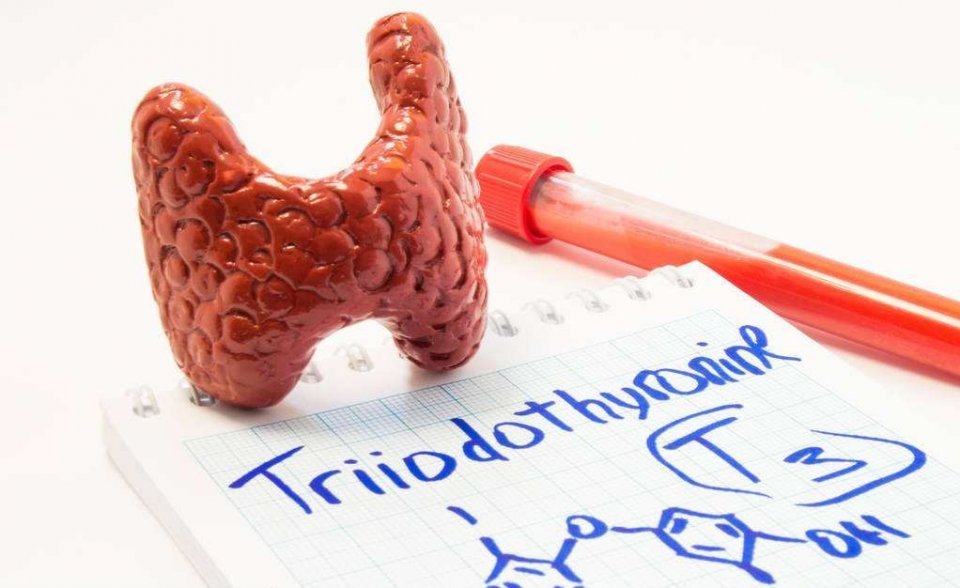 甲狀腺功能異常？注意硒攝入是否充足！