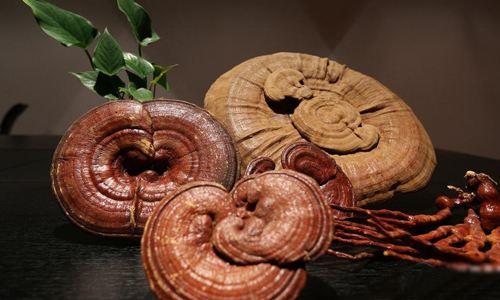 靈芝孢子粉大科普，你要了解的，全都有！