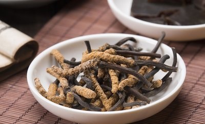 冬天宜進(jìn)補(bǔ)冬蟲夏草，看看它都有什么好