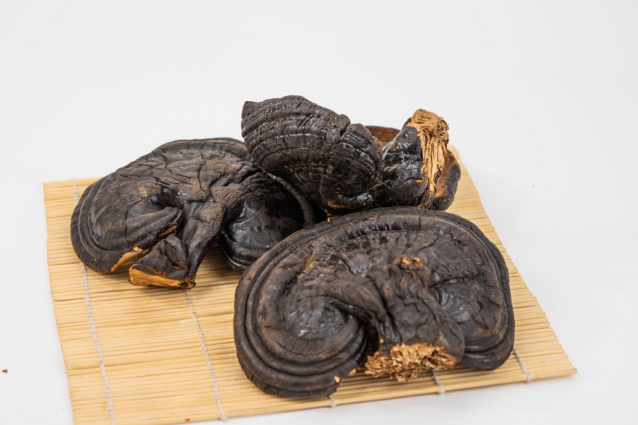 靈芝調(diào)節(jié)人體三大系統(tǒng)，達(dá)到平衡狀態(tài)