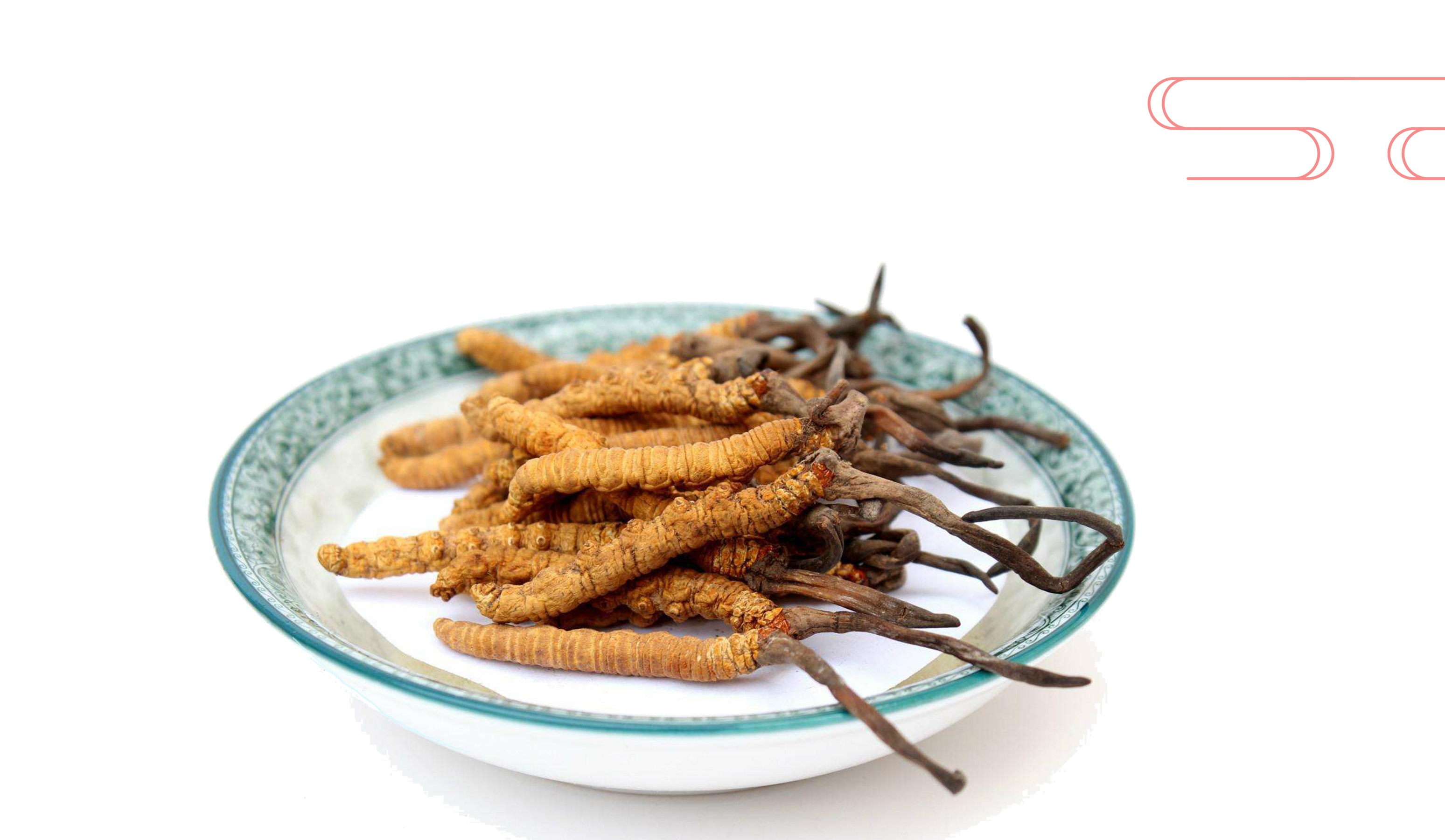 冬蟲夏草對肝星狀細(xì)胞生長的作用