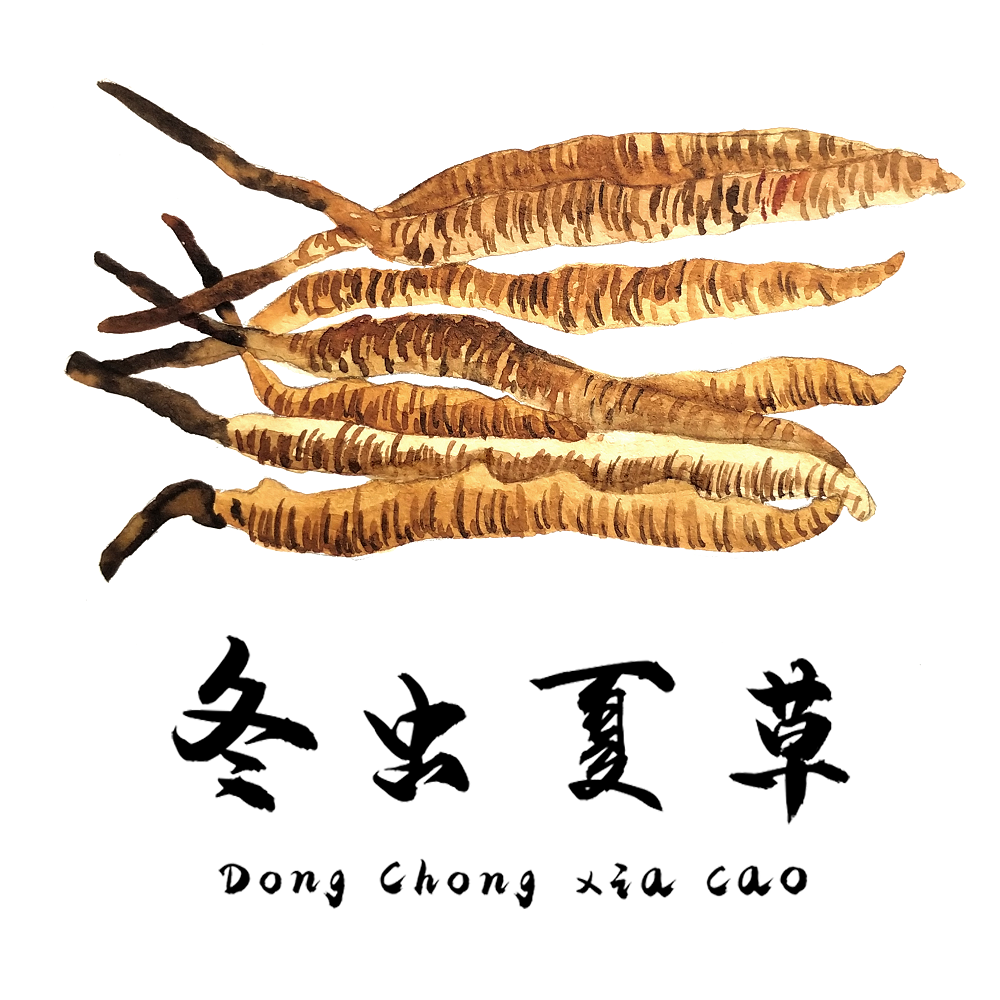 對于食道癌，冬蟲夏草有一定的改善作用