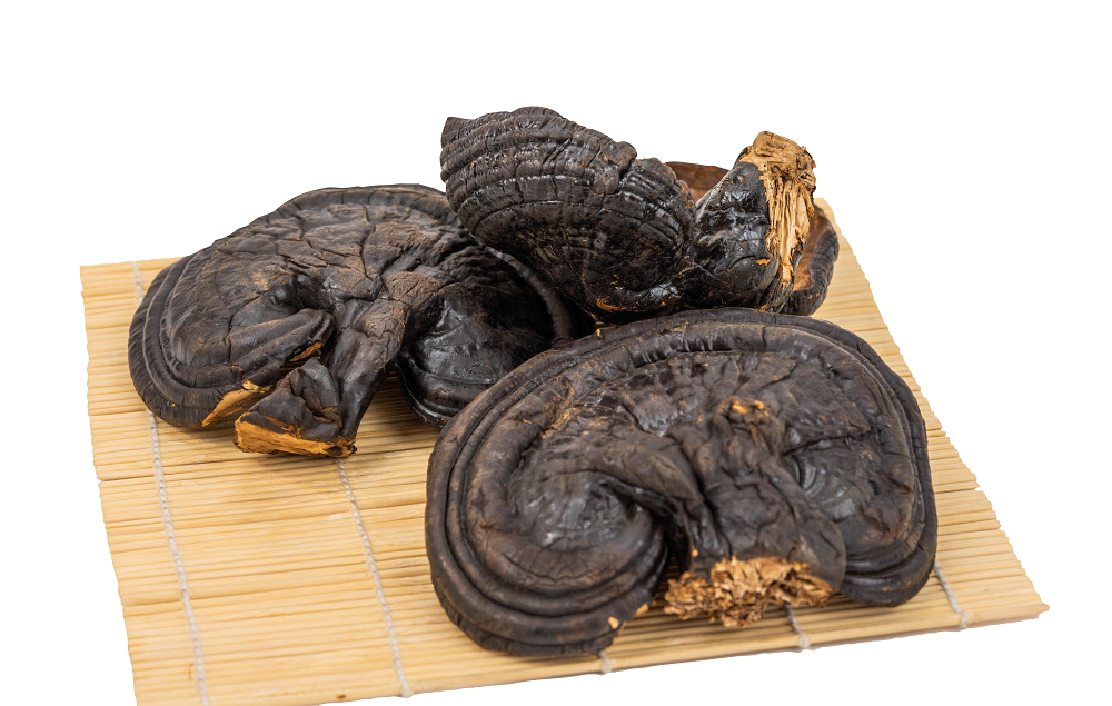 靈芝孢子粉為什么要選擇破壁的？