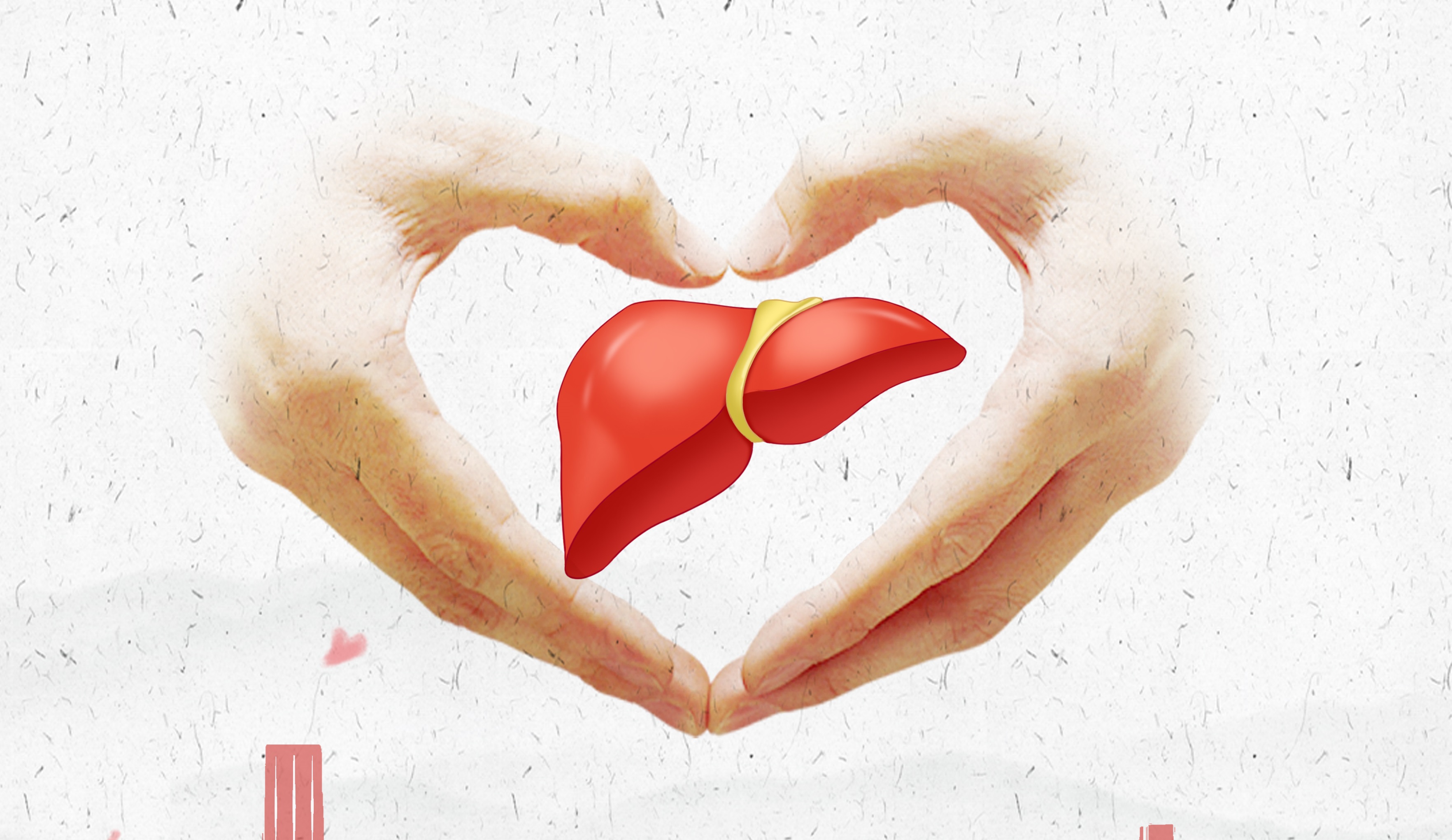 人參皂苷RH2與肝癌之間的關(guān)系