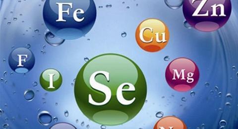 老人想要不生病，5種元素少不了！別只知道維生素