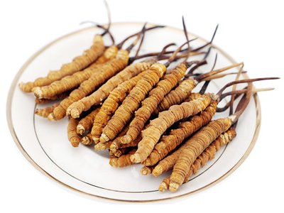 為什么說(shuō)冬天是最適合進(jìn)補(bǔ)蟲草的季節(jié)