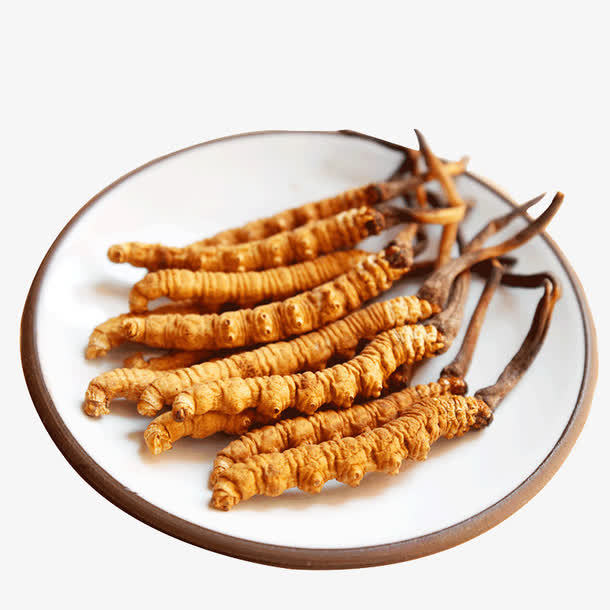 冬蟲夏草菌絲體是如何產(chǎn)生的？