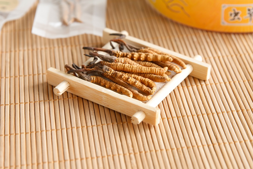 冬蟲夏草的適宜人群及注意事項(xiàng)