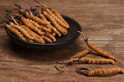 吃冬蟲夏草后，睡眠會得到一定的改善