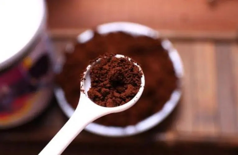 靈芝孢子粉所含的營養(yǎng)元素都有什么？