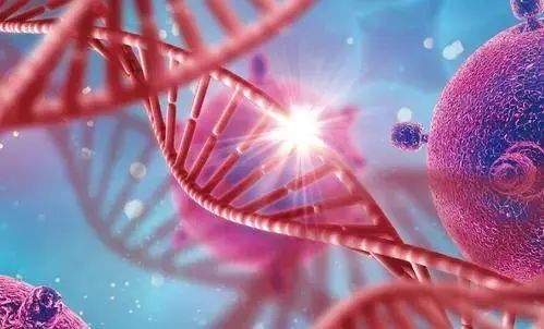 為什么說癌癥病人需要補(bǔ)硒？