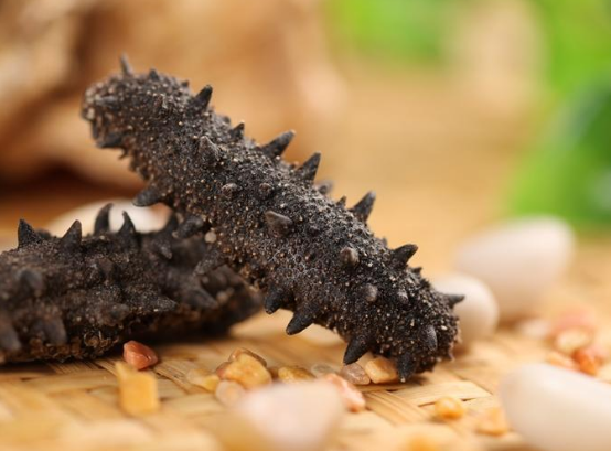 出現(xiàn)便秘還可以繼續(xù)食用海參嗎？