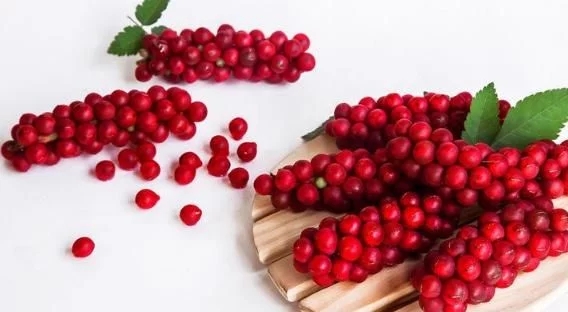 五味子的藥性搭配，五味子好，但這2類人不宜食用