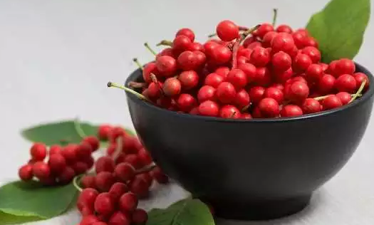 “山間野葡萄”五味子都有什么簡(jiǎn)單的作用？