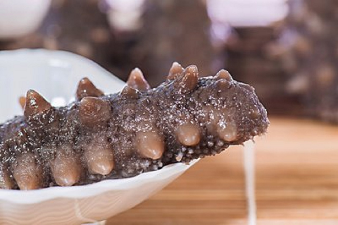 海參的營養(yǎng)價值都適合誰來吃？