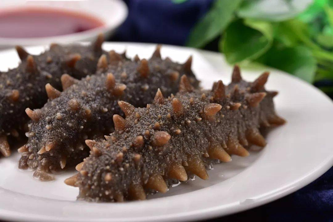 夏季能不能吃海參滋補(bǔ)身體呢？