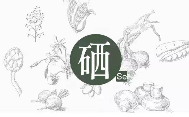 富含硒的食物有哪些？