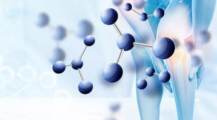 氨糖是如何養(yǎng)護膝蓋的？