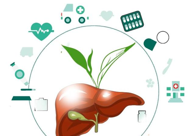 春季養(yǎng)肝正當(dāng)時